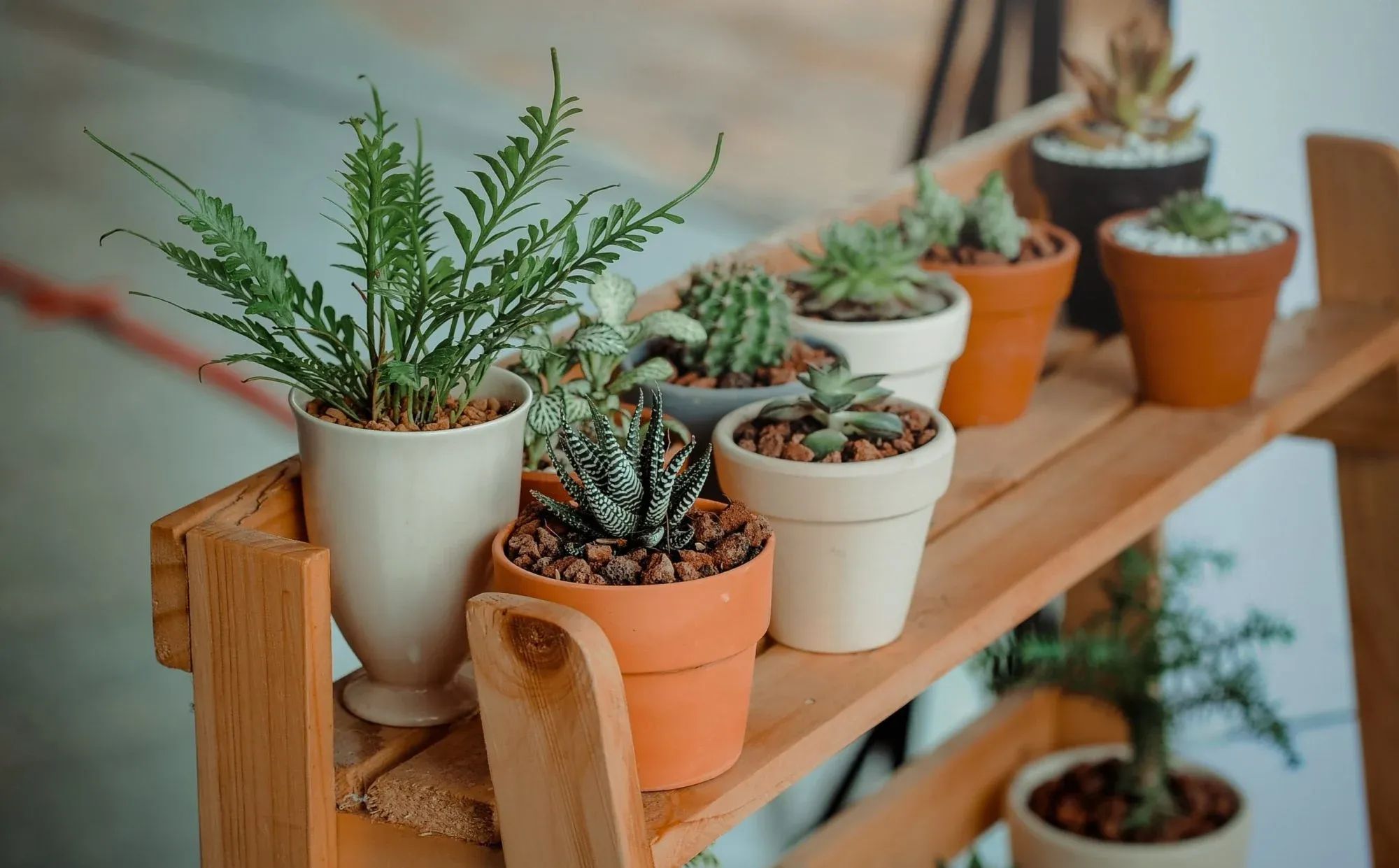Garden Planter Co. decorative vases